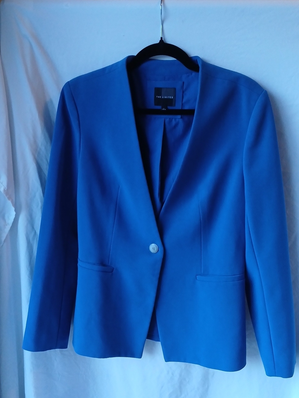 The Limited Blue One-Button Blazer